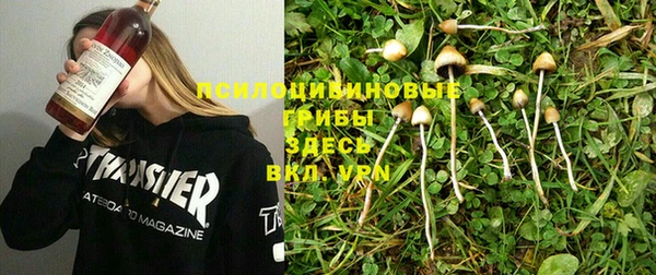 не бодяженный Липки
