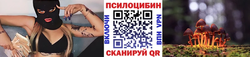 наркота  Никольск  блэк спрут ссылки  Псилоцибиновые грибы GOLDEN TEACHER 